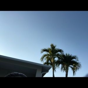 Meet your Posher, Cassidy